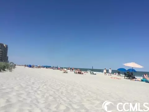 1306 Manatee Ct, Surfside Beach, SC 29575 photo 31