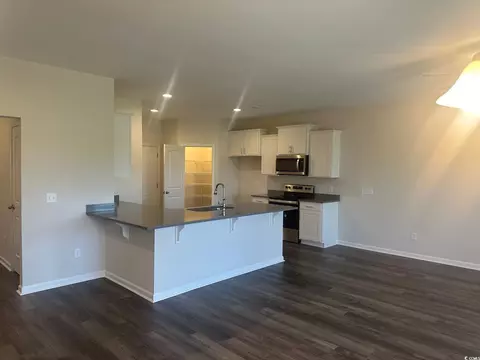 Kitchen - 432 Honeyhill Loop, Conway, SC 29526 photo 1 of 1