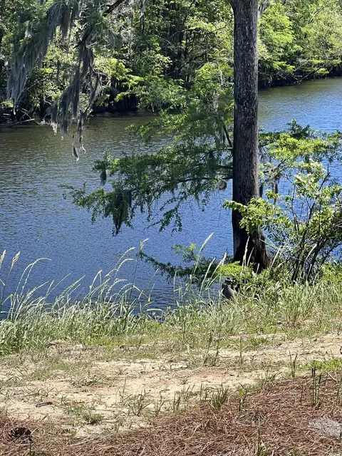 View/Area - 432 Honeyhill Loop, Conway, SC 29526 photo 6 of 13
