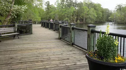 469 Honeyhill Loop, Conway, SC 29526 photo 23