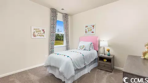 409 Samara Dr, Longs, SC 29568 photo 8