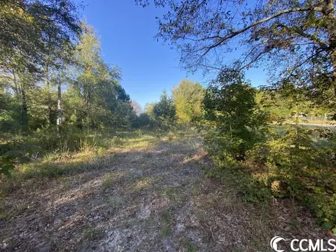 2 0 Acres Amber Ln, Galivants Ferry, SC 29544