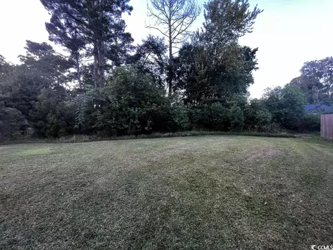 71 Athens Loop, Georgetown, SC 29440 photo 25