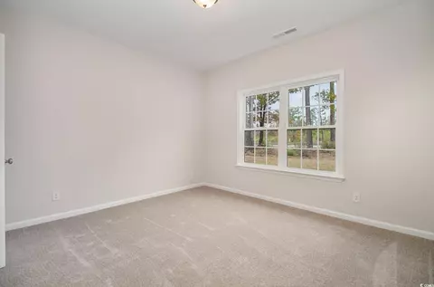 292 Ole Maple St, Loris, SC 29569 photo 29