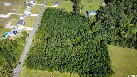 Tbd Red Bluff Rd., Loris, SC 29569 photo 11