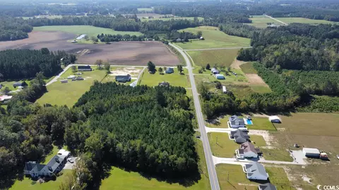 Tbd Red Bluff Rd., Loris, SC 29569 photo 14