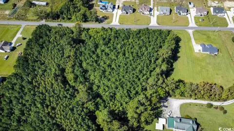 Tbd Red Bluff Rd., Loris, SC 29569 photo 9