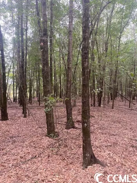 Harmon Ct., Marion, SC 29571 photo 7