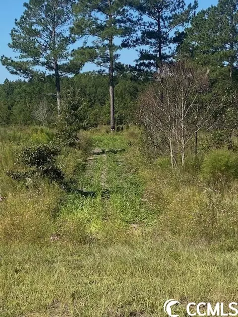 Harmon Ct., Marion, SC 29571 photo 17