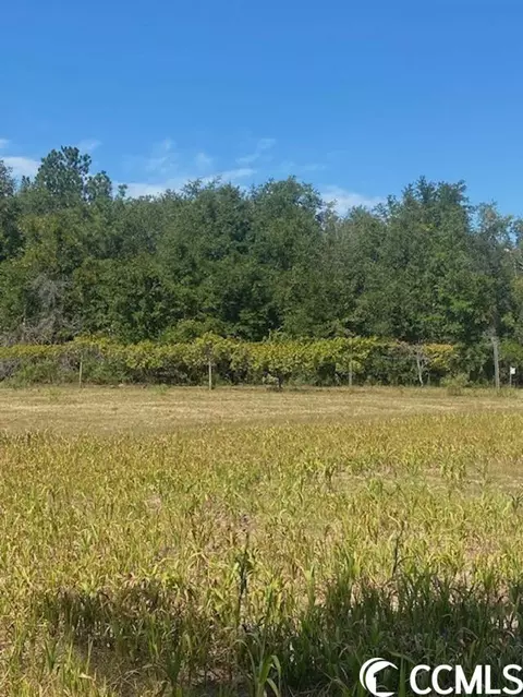 Harmon Ct., Marion, SC 29571 photo 16