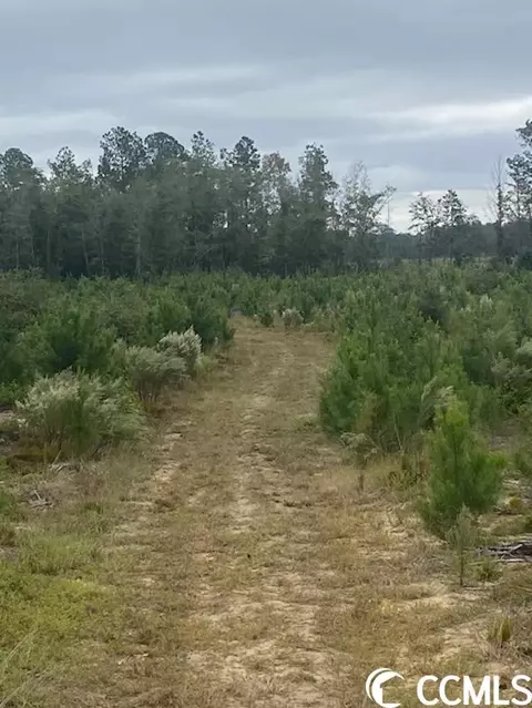 Harmon Ct., Marion, SC 29571 photo 9