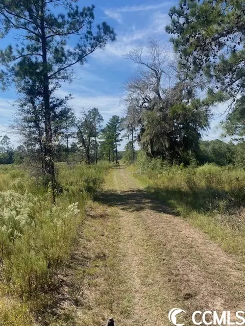Harmon Ct., Marion, SC 29571 photo 11