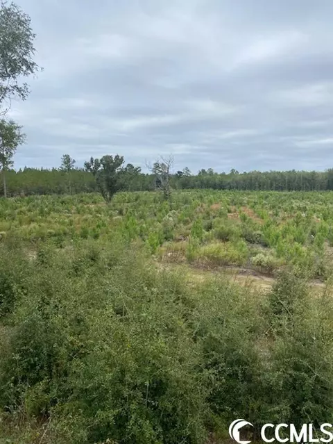 Harmon Ct., Marion, SC 29571