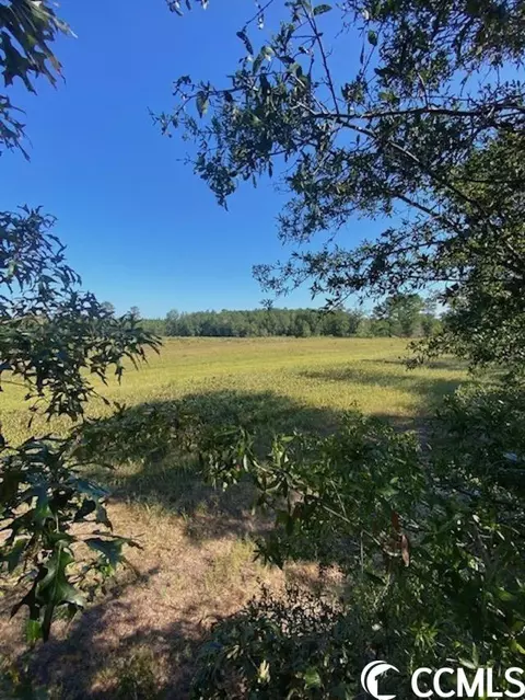 Harmon Ct., Marion, SC 29571 photo 20