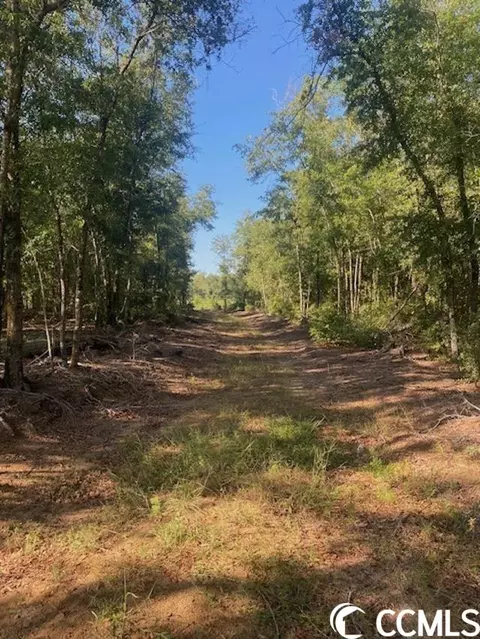 Harmon Ct., Marion, SC 29571 photo 18