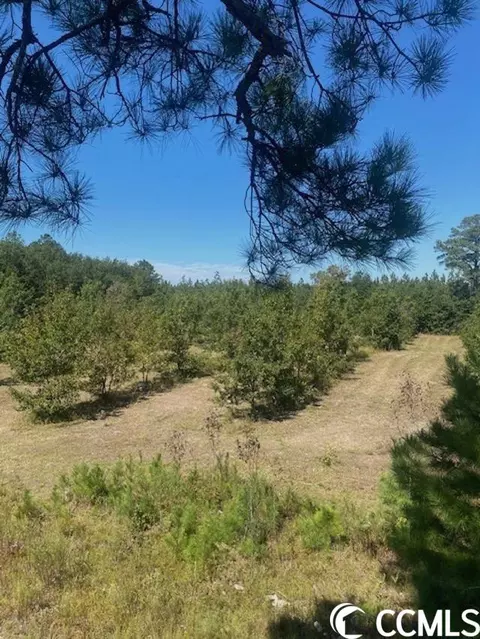 Harmon Ct., Marion, SC 29571 photo 13