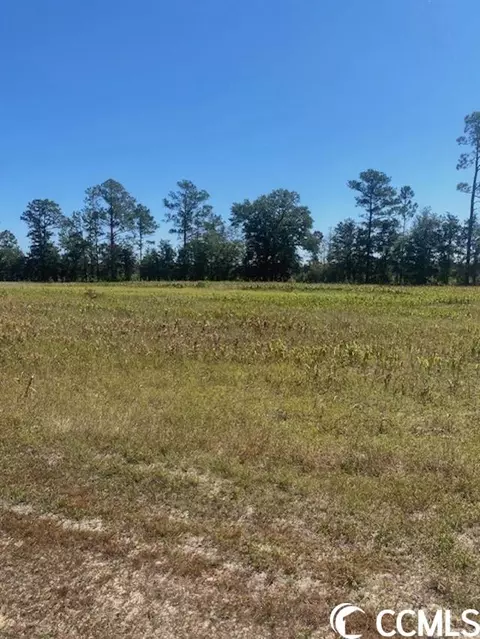 Harmon Ct., Marion, SC 29571 photo 14