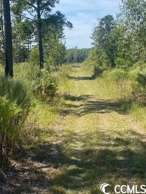 Harmon Ct., Marion, SC 29571 photo 12