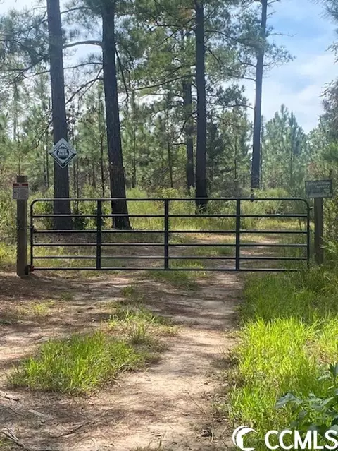 Harmon Ct., Marion, SC 29571 photo 3