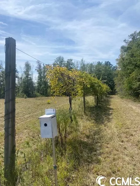 Harmon Ct., Marion, SC 29571 photo 10