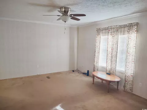 115 Donald Loop Rd, Hemingway, SC 29554 photo 8