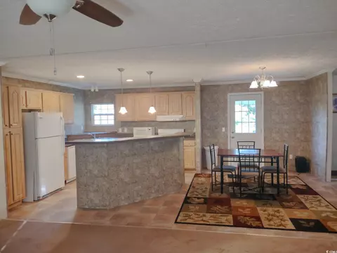 115 Donald Loop Rd, Hemingway, SC 29554 photo 9