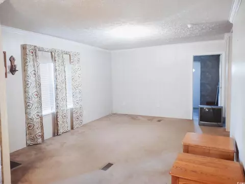 115 Donald Loop Rd, Hemingway, SC 29554 photo 14