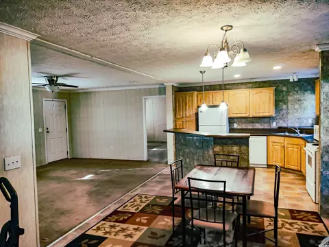 115 Donald Loop Rd, Hemingway, SC 29554 photo 10
