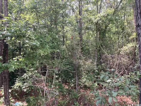 Tbd Williams Hill Rd., Hemingway, SC 29554