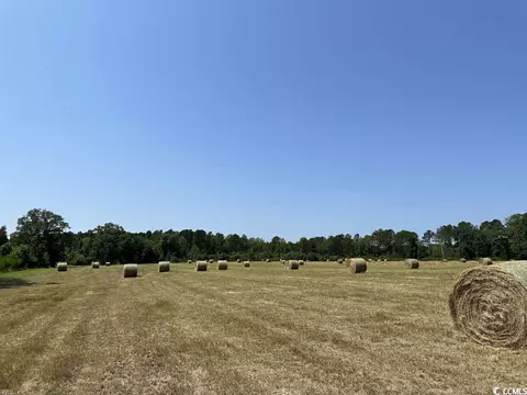 Tbd Big Dam Swamp Dr., Andrews, SC 29510