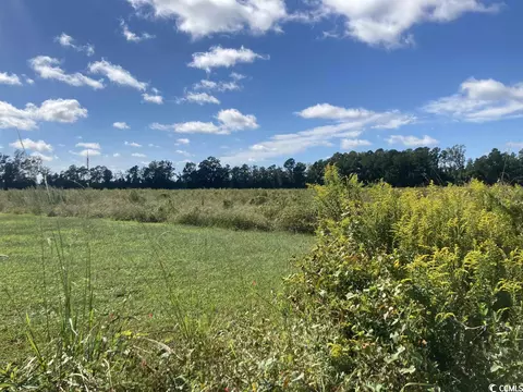 Tbd Highway 261, Hemingway, SC 29554