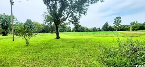 Tbd - Tract I Clay Hill Rd., Galivants Ferry, SC 29544