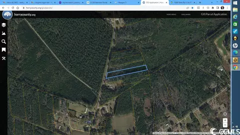 1095 Cedar Branch Rd, Loris, SC 29569 photo 2