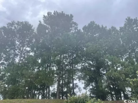 tbd Della Rd, Longs, SC 29568