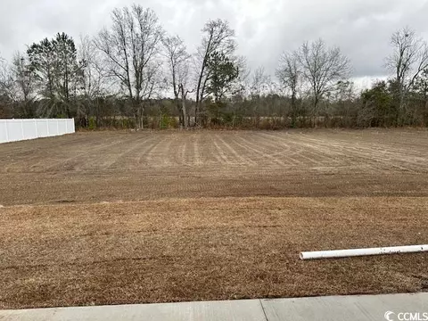 1659 Heritage Rd, Loris, SC 29569 photo 9