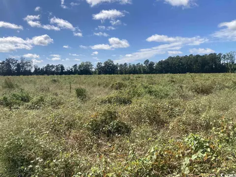 Tbd Choppee Rd., Hemingway, SC 29554