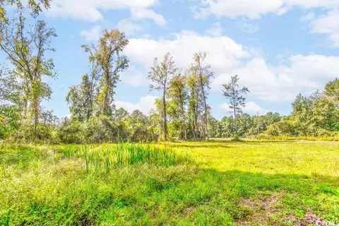 6741 Hampton Rd, Conway, SC 29527 photo 14