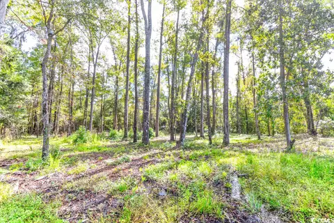 6741 Hampton Rd, Conway, SC 29527 photo 12
