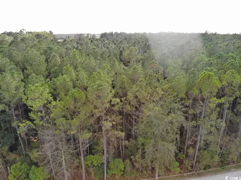 Tbd Long Horne Ranch Dr., Loris, SC 29569