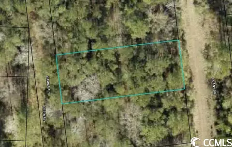 Lot 1075 Harmony Township, Georgetown, SC 29440