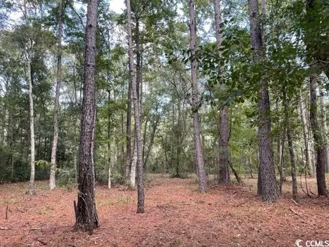 9250 Culloden Rd, Mcclellanville, SC 29458 photo 9