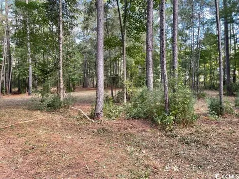 9250 Culloden Rd, Mcclellanville, SC 29458 photo 6