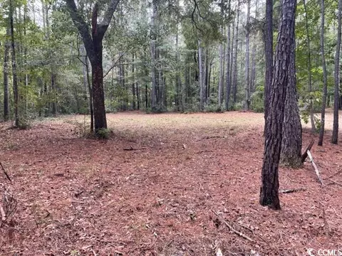 9250 Culloden Rd, Mcclellanville, SC 29458 photo 11
