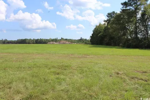 954 Log Cabin Rd, Loris, SC 29569 photo 26