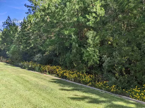 492 Shell Bank Shell Bank Dr UNIT B, Longs, SC 29568 photo 18