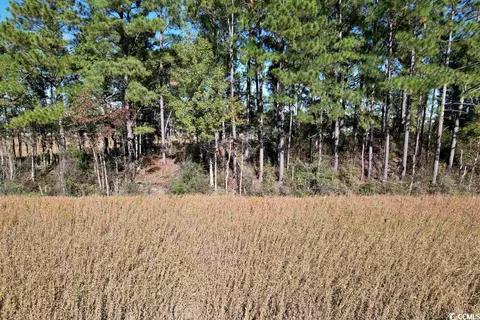 Off Highway 9, Dillon, SC 29536 photo 10