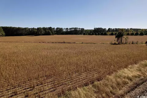 Off Highway 9, Dillon, SC 29536 photo 8