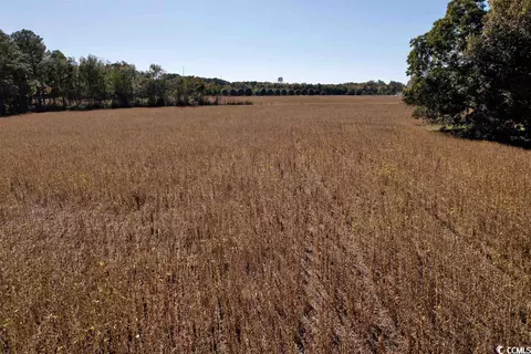 Off Highway 9, Dillon, SC 29536 photo 6