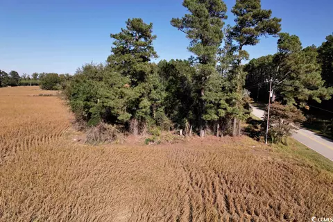 Off Highway 9, Dillon, SC 29536 photo 12
