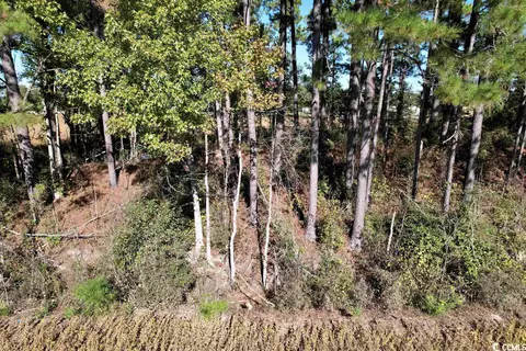 Off Highway 9, Dillon, SC 29536 photo 11